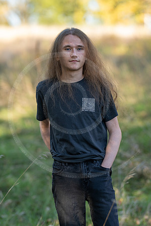 _LFX3165