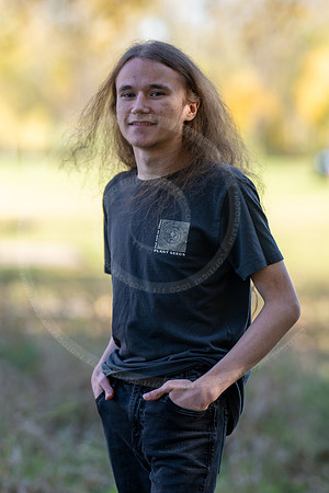 _LFX3207