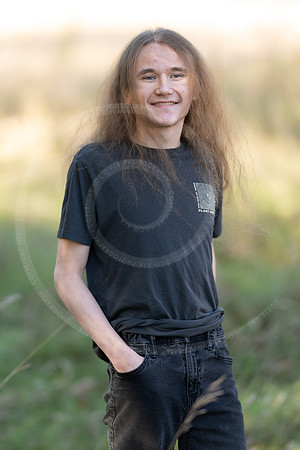 _LFX3173