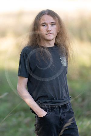 _LFX3167
