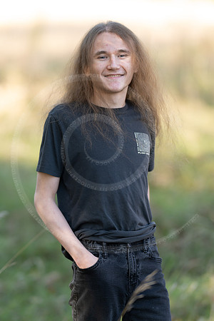 _LFX3172