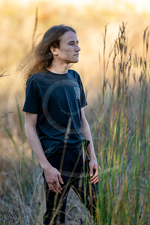_LFX3228