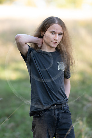 _LFX3176
