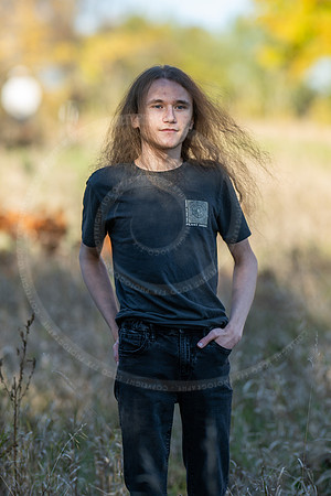 _LFX3163