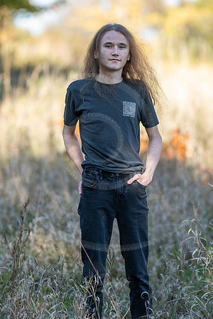 _LFX3162