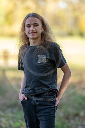 _LFX3217