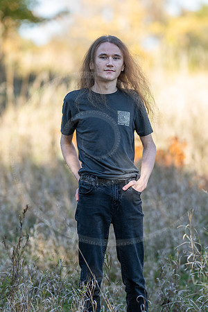 _LFX3161