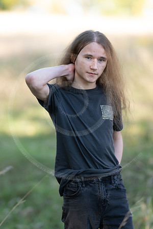 _LFX3175