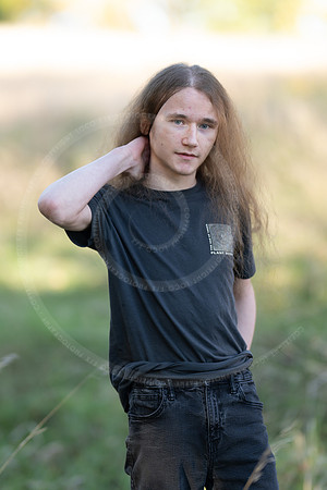 _LFX3174