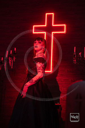 _LFX2213