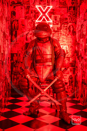 _LFX2336