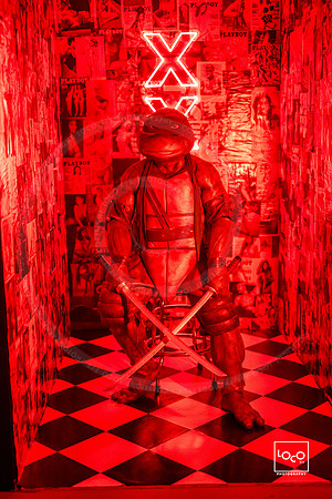 _LFX2338