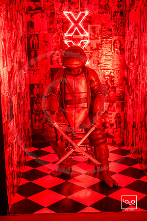 _LFX2339