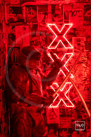 _LFX2341