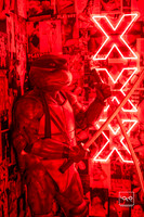 _LFX2343