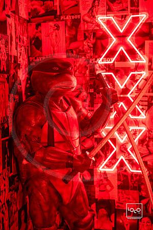 _LFX2343