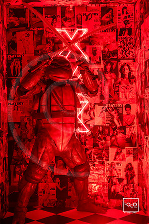 _LFX2344