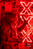 _LFX2342