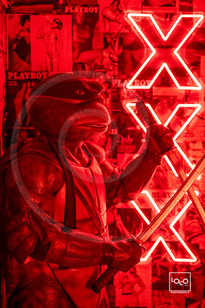 _LFX2342