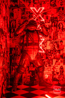 _LFX2345