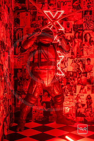 _LFX2345