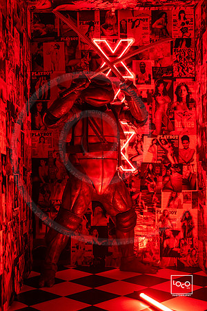 _LFX2346