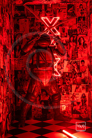 _LFX2347