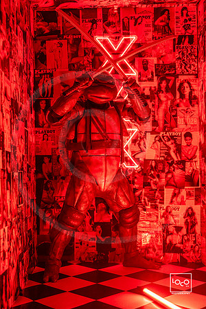 _LFX2348