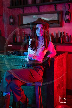 _LFX2313
