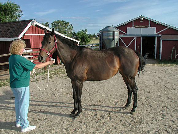 co-spring_08.2003
