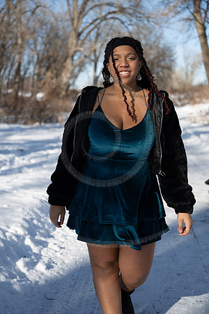 LFX_4293