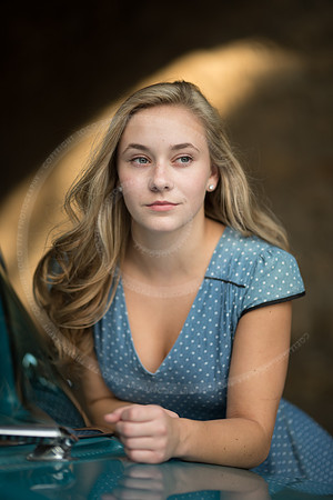 LFX_5546