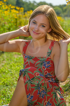 LFX_1456