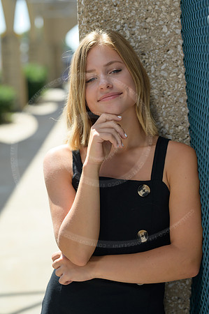 LFX_1633