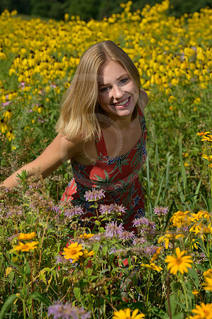 LFX_1384