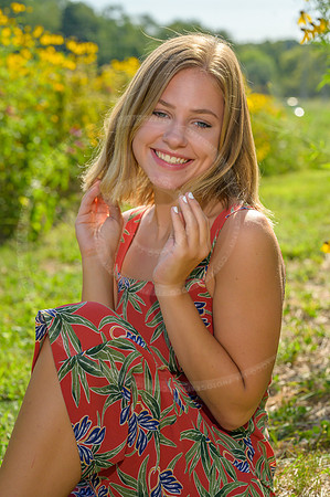 LFX_1464