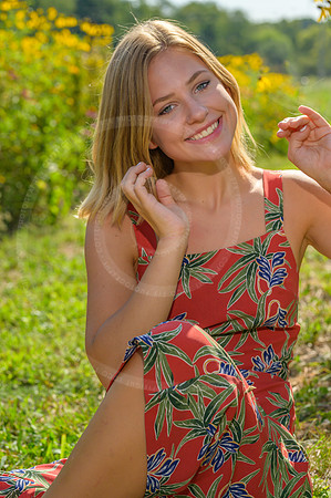 LFX_1460