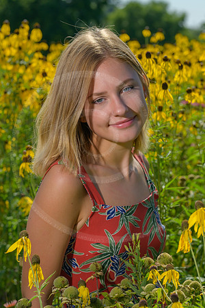 LFX_1407