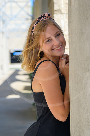 LFX_1533