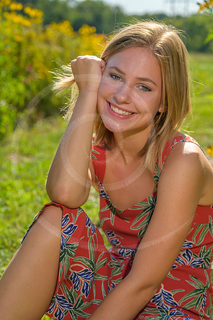 LFX_1441