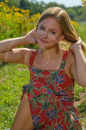 LFX_1455
