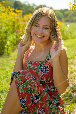 LFX_1463