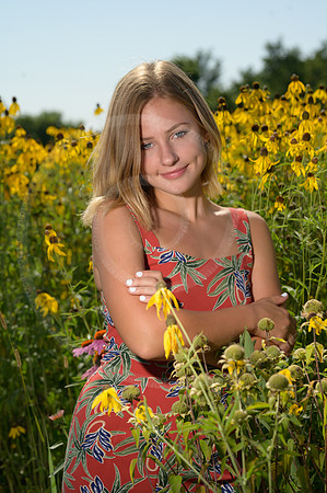 LFX_1411