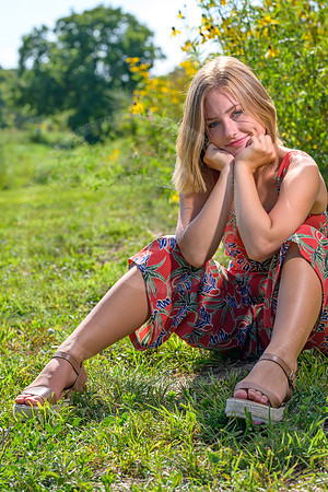LFX_1433