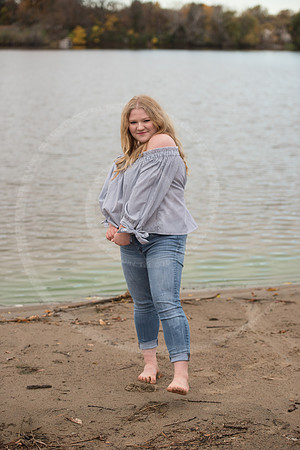 LFX_0310
