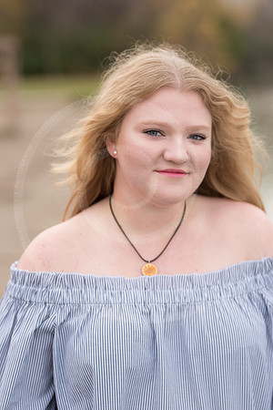 LFX_0127