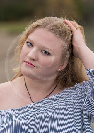 LFX_0141