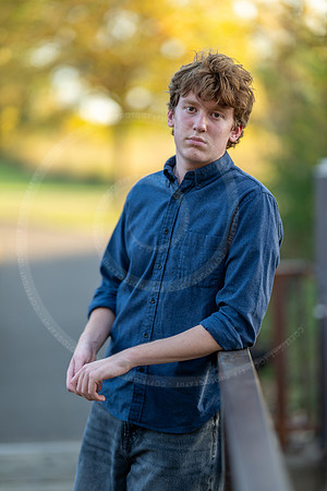 LFX_6401