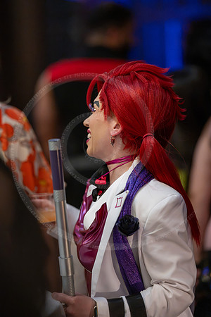LFX_2953
