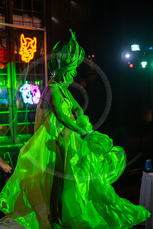 LFX_4239